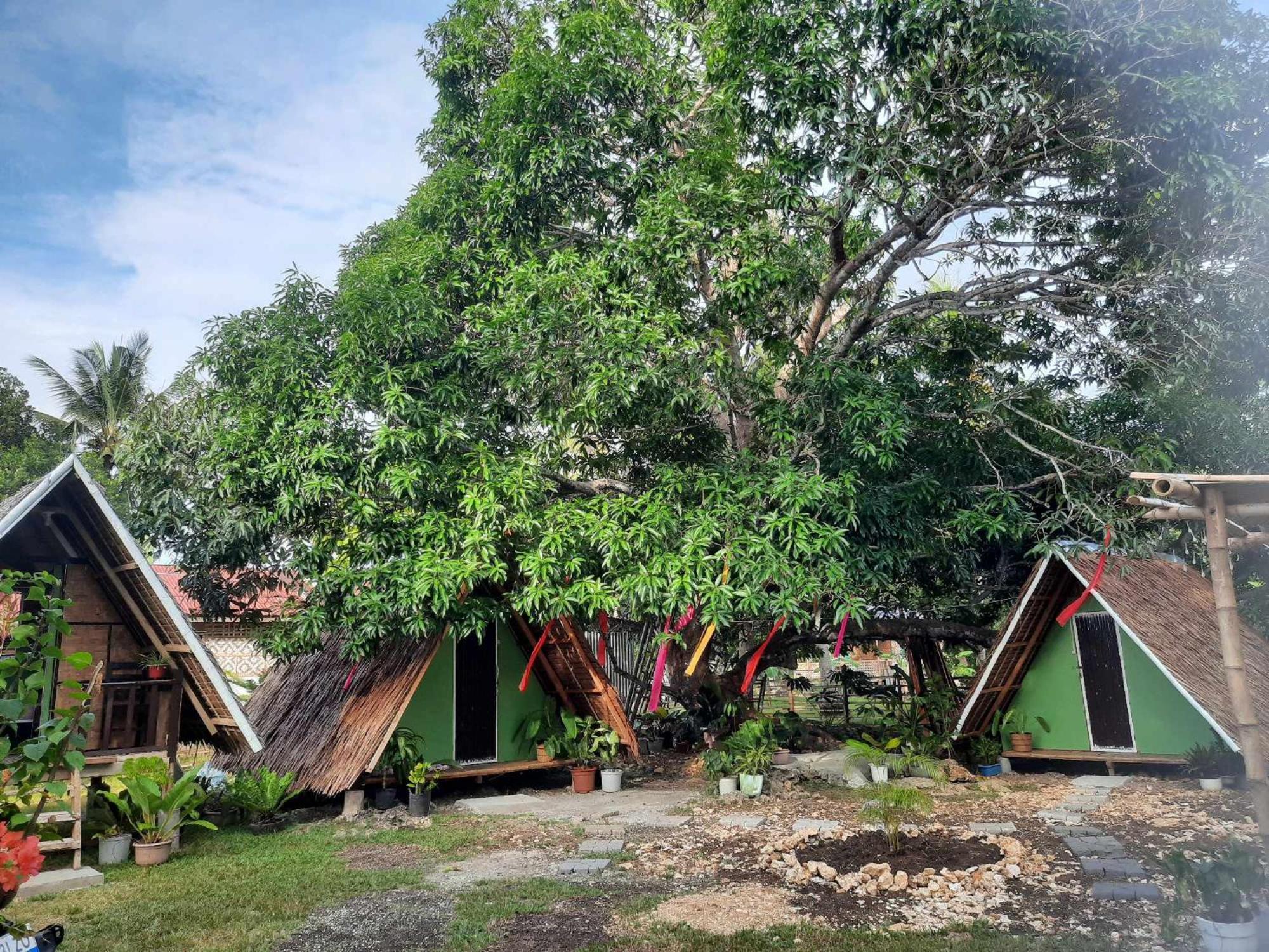 Lagkaw Uno In Lagkaw Homestay Panglao Zewnętrze zdjęcie