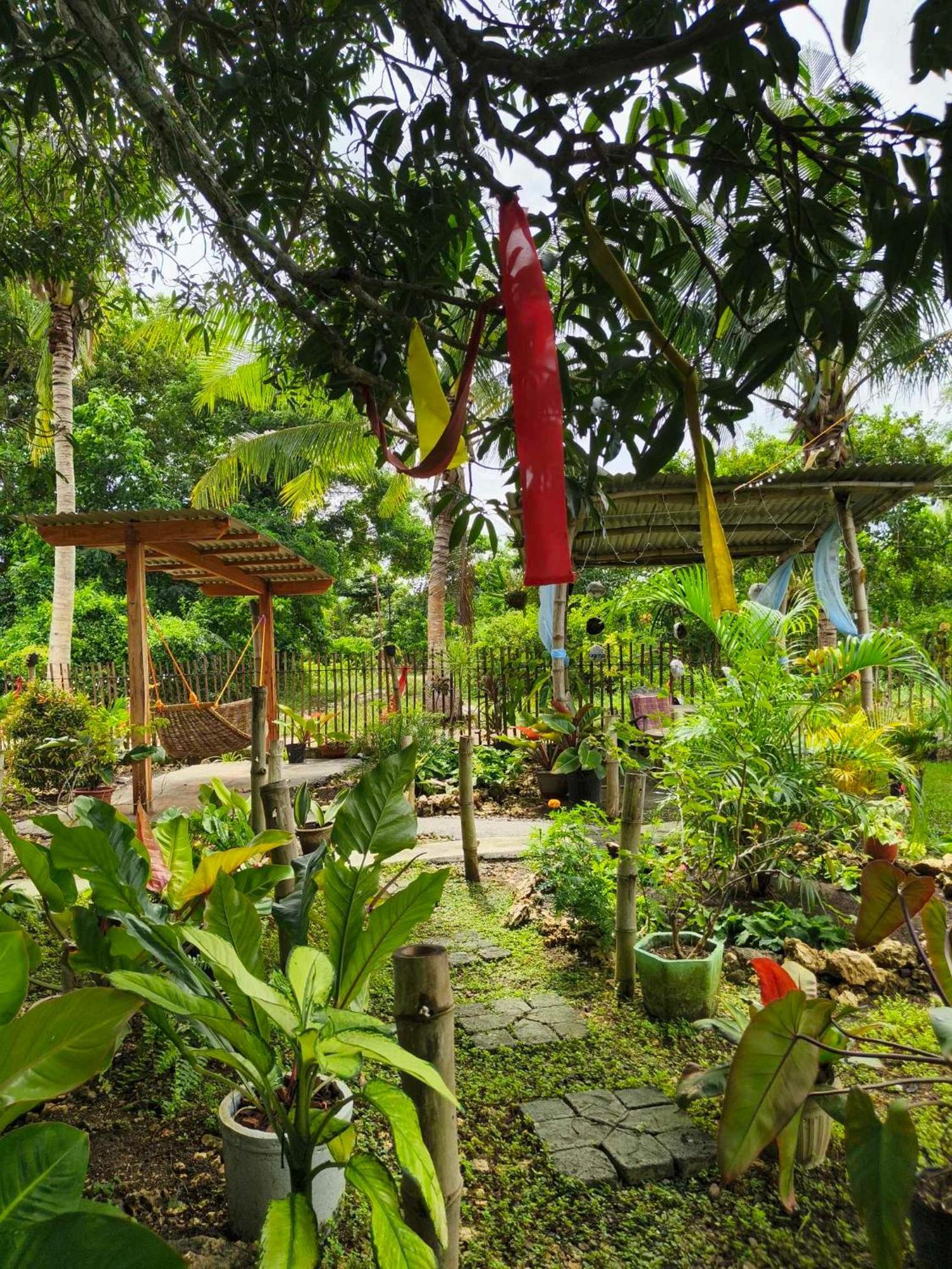 Lagkaw Uno In Lagkaw Homestay Panglao Zewnętrze zdjęcie