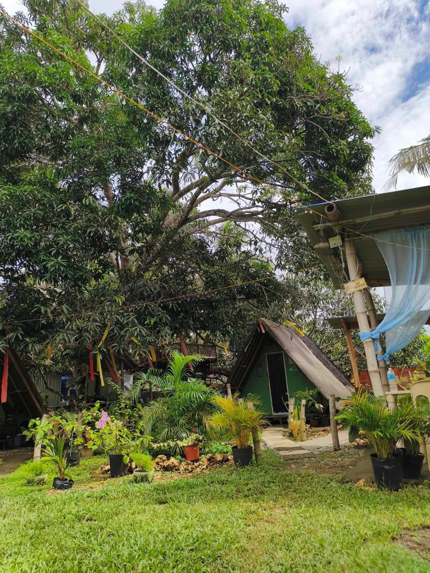 Lagkaw Uno In Lagkaw Homestay Panglao Zewnętrze zdjęcie